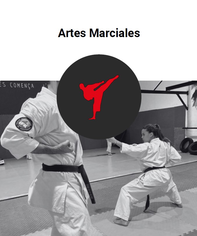 Boxeo, karate, MMA alcoy